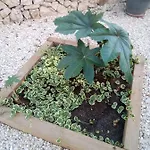 度假居 Casa Carmen *