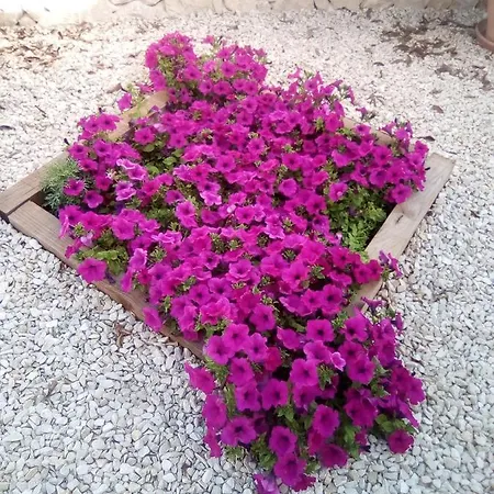 Casa Carmen * Calp