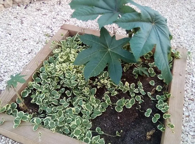 Сasa de vacaciones Casa Carmen *